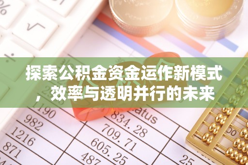 虎门探索公积金资金运作新模式，效率与透明并行的未来