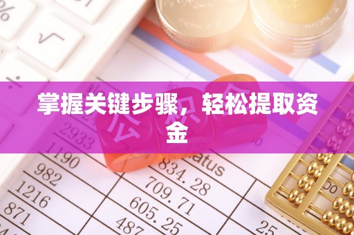 虎门掌握关键步骤，轻松提取资金