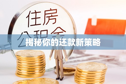 虎门揭秘你的还款新策略