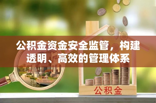 虎门公积金资金安全监管，构建透明、高效的管理体系
