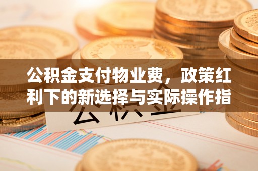 虎门公积金支付物业费，政策红利下的新选择与实际操作指南