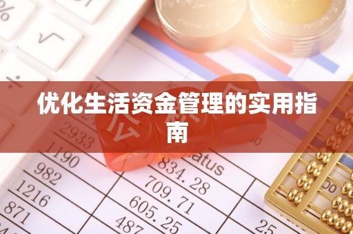 虎门优化生活资金管理的实用指南