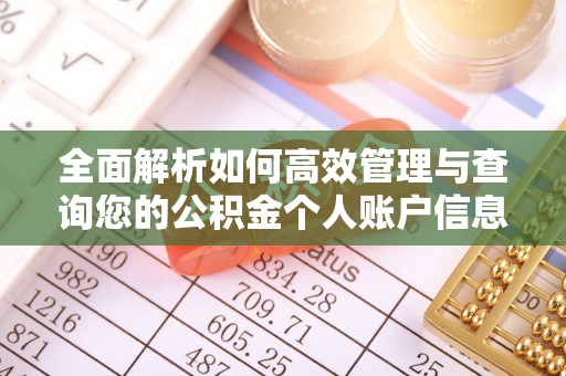 虎门全面解析如何高效管理与查询您的公积金个人账户信息