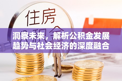 虎门洞察未来，解析公积金发展趋势与社会经济的深度融合