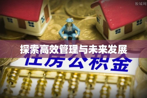 虎门探索高效管理与未来发展