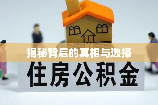虎门揭秘背后的真相与选择