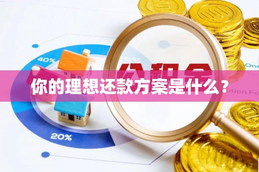 虎门你的理想还款方案是什么？