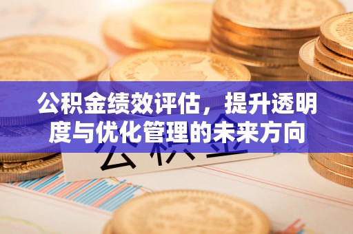 虎门公积金绩效评估，提升透明度与优化管理的未来方向