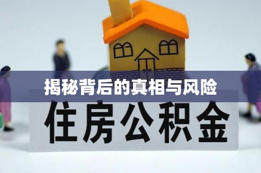 虎门揭秘背后的真相与风险