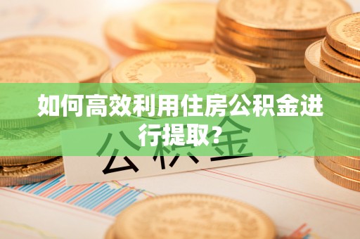 虎门如何高效利用住房公积金进行提取？