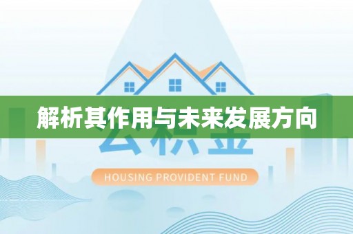虎门解析其作用与未来发展方向