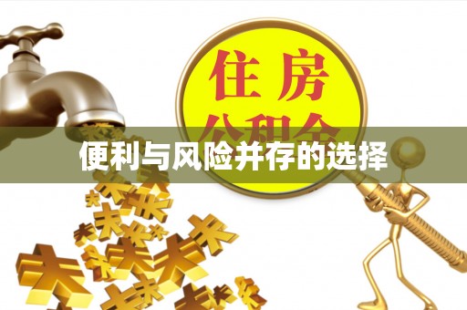 虎门便利与风险并存的选择